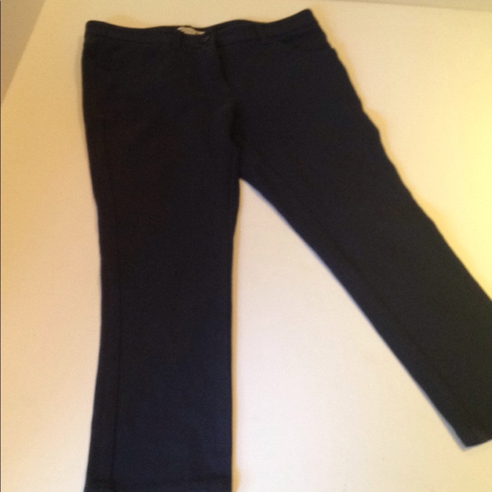Lacoste Navy Jersey Jeans Capris S